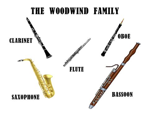 How Do Woodwind Instruments Make Sound: A Symphony of Air and Imagination