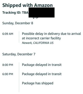 What Happens If Your Package Is Stolen Amazon: A Journey Through the Maze of Modern Delivery Woes