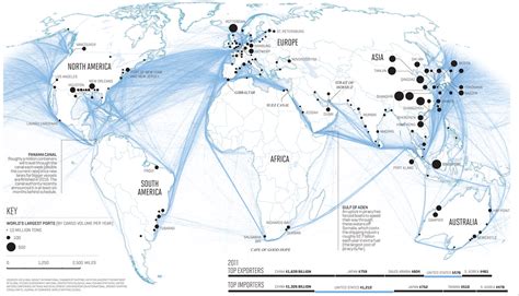 Where Does Adidas Ship From: Unraveling the Threads of Global Commerce