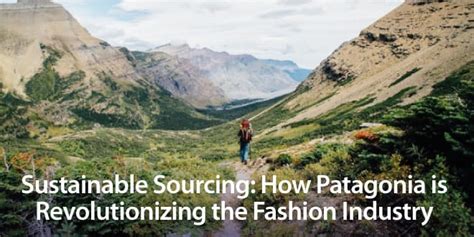 Where Does Patagonia Ship From: Unraveling the Threads of Global Commerce and Environmental Stewardship